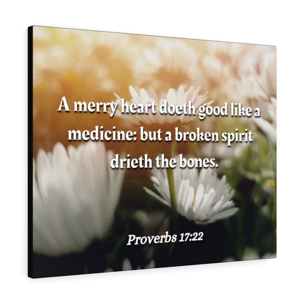 Scripture Walls Broken Spirit Proverbs 17:22 Bible Verse Canvas Christian Wall Art Ready to Hang Unframed-Express Your Love Gifts