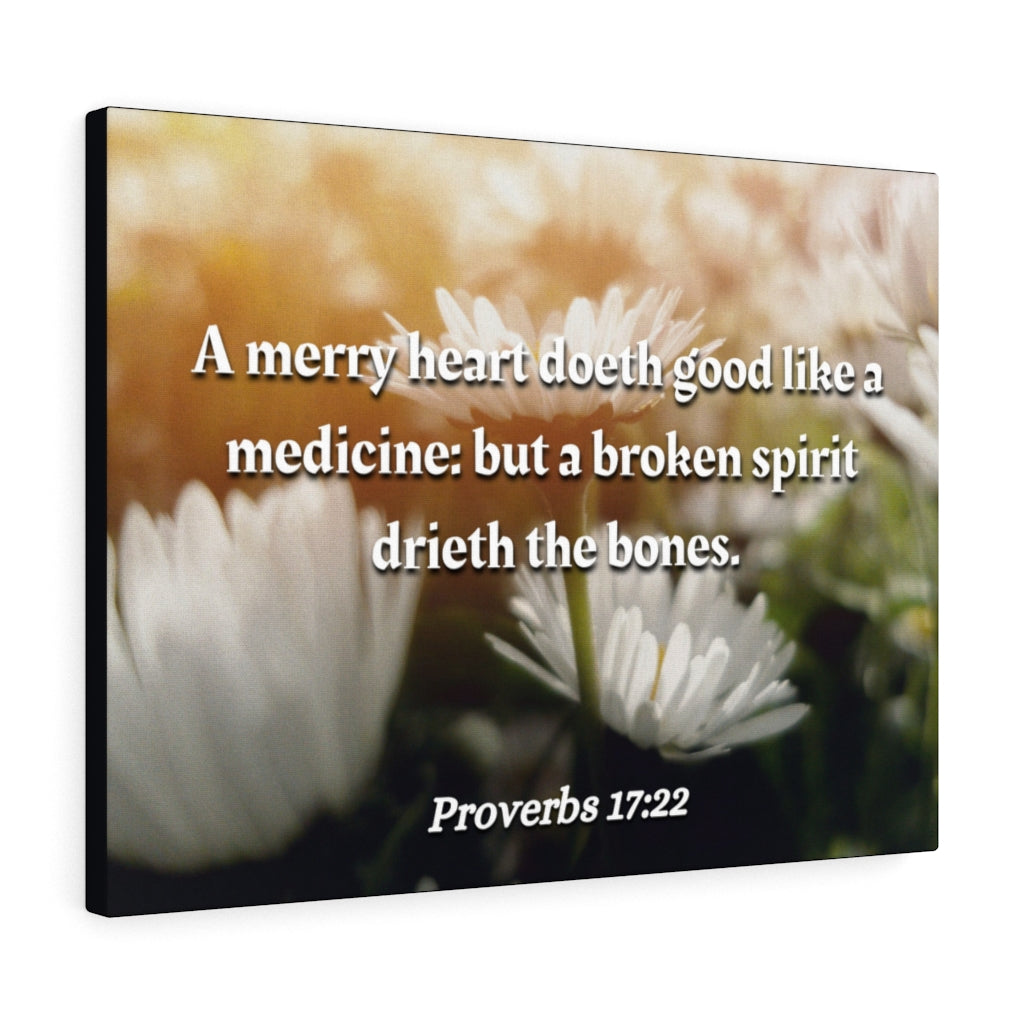 Scripture Walls Broken Spirit Proverbs 17:22 Bible Verse Canvas Christian Wall Art Ready to Hang Unframed-Express Your Love Gifts