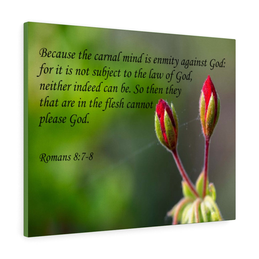 Scripture Walls Carnal Mind Romans 8:7-8 Bible Verse Canvas Christian Wall Art Ready to Hang Unframed-Express Your Love Gifts
