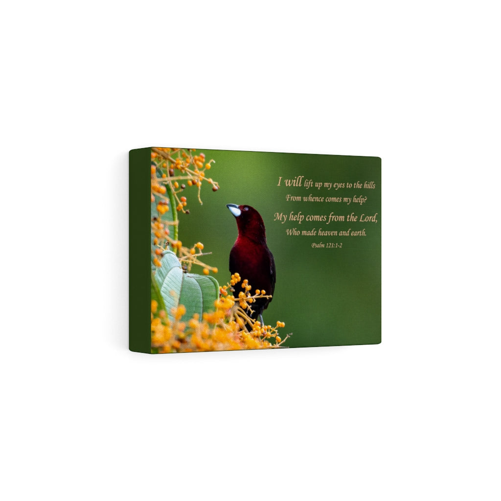 Scripture Walls Comes From The Lord Psalm 121:1-2 Bible Verse Canvas Christian Wall Art Ready to Hang Unframed-Express Your Love Gifts