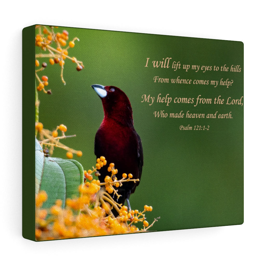 Scripture Walls Comes From The Lord Psalm 121:1-2 Bible Verse Canvas Christian Wall Art Ready to Hang Unframed-Express Your Love Gifts