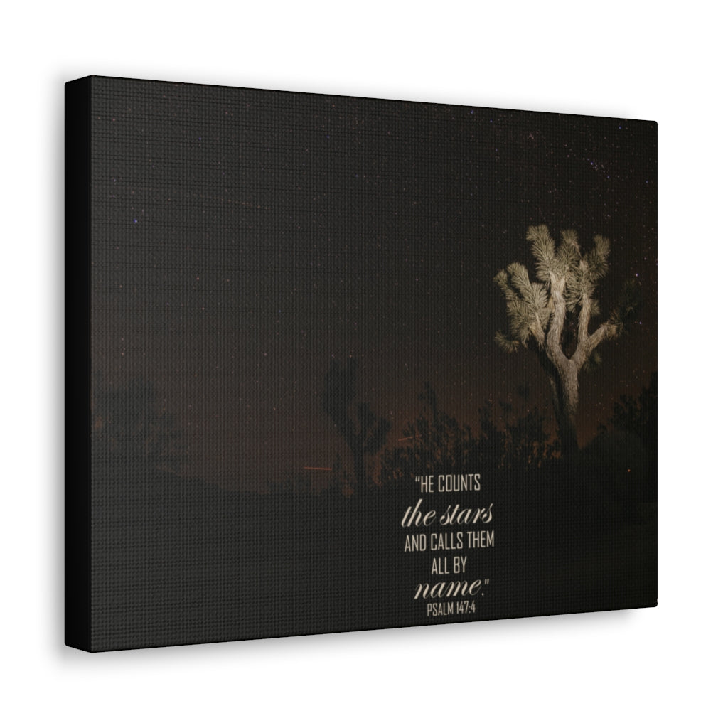 Scripture Walls Counts The Stars Psalm 147:4 Bible Verse Canvas Christian Wall Art Ready to Hang Unframed-Express Your Love Gifts
