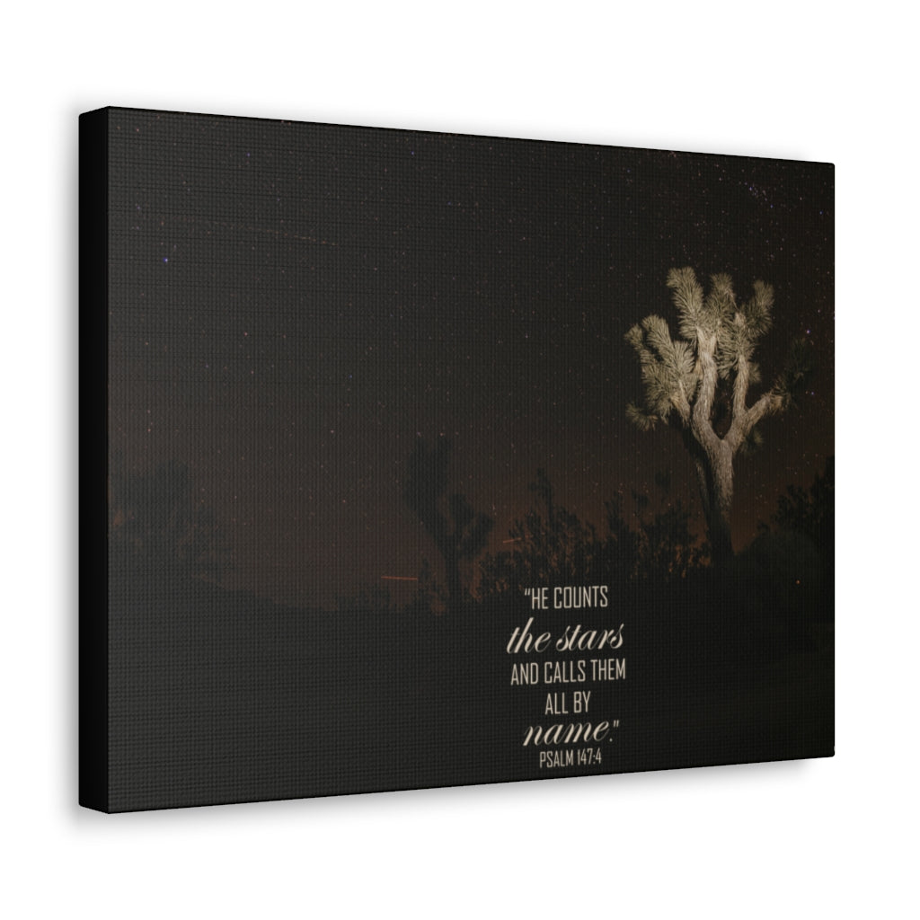 Scripture Walls Counts The Stars Psalm 147:4 Bible Verse Canvas Christian Wall Art Ready to Hang Unframed-Express Your Love Gifts