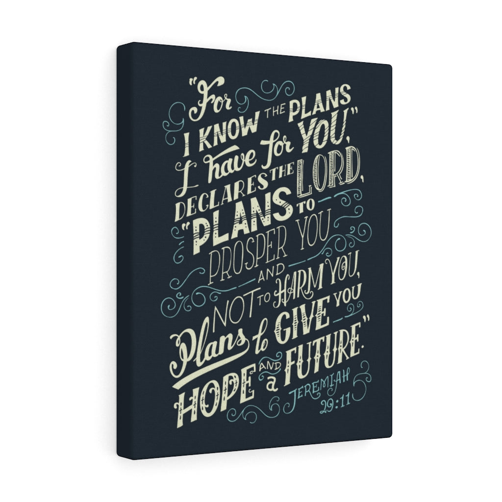 Scripture Walls Declares The Lord Jeremiah 29:11 Dark Bible Verse Canvas Christian Wall Art Ready to Hang Unframed-Express Your Love Gifts