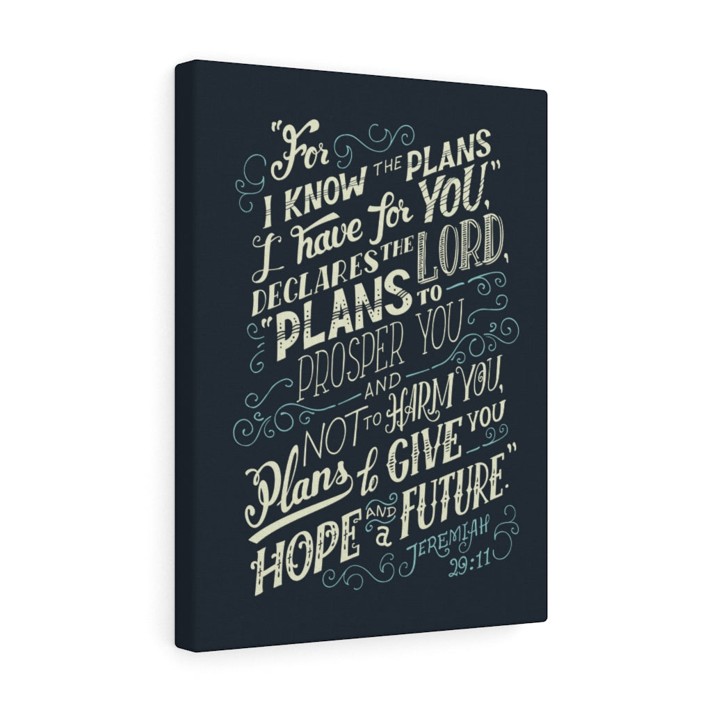 Scripture Walls Declares The Lord Jeremiah 29:11 Dark Bible Verse Canvas Christian Wall Art Ready to Hang Unframed-Express Your Love Gifts