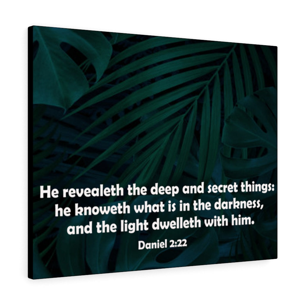 Scripture Walls Deep and Secret Things Daniel 2:22 Bible Verse Canvas Christian Wall Art Ready to Hang Unframed-Express Your Love Gifts