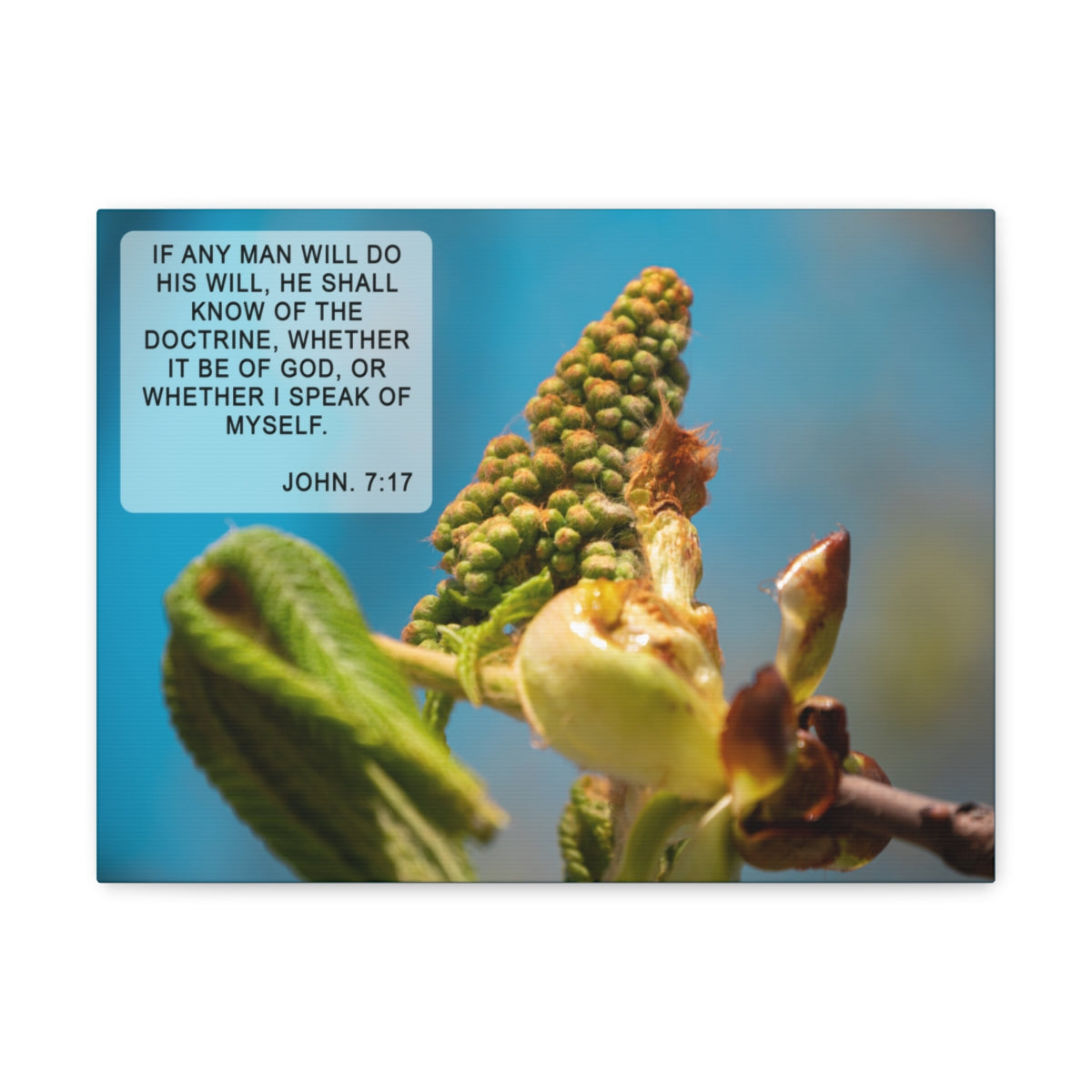 Scripture Walls Do His Will John 7:17 Bible Verse Canvas Christian Wall Art Ready to Hang Unframed-Express Your Love Gifts