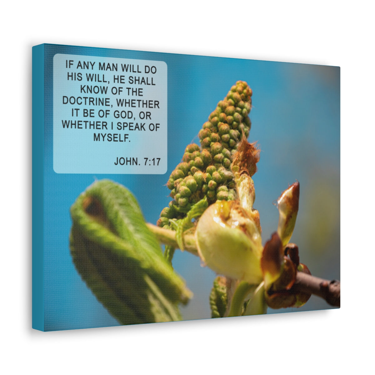 Scripture Walls Do His Will John 7:17 Bible Verse Canvas Christian Wall Art Ready to Hang Unframed-Express Your Love Gifts