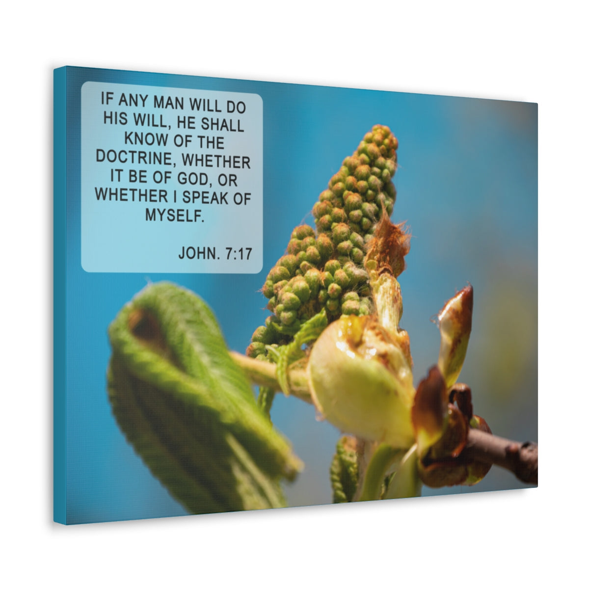 Scripture Walls Do His Will John 7:17 Bible Verse Canvas Christian Wall Art Ready to Hang Unframed-Express Your Love Gifts