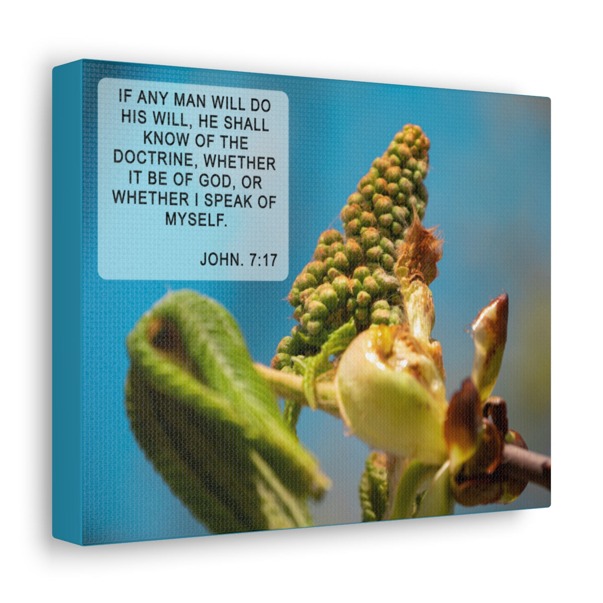 Scripture Walls Do His Will John 7:17 Bible Verse Canvas Christian Wall Art Ready to Hang Unframed-Express Your Love Gifts