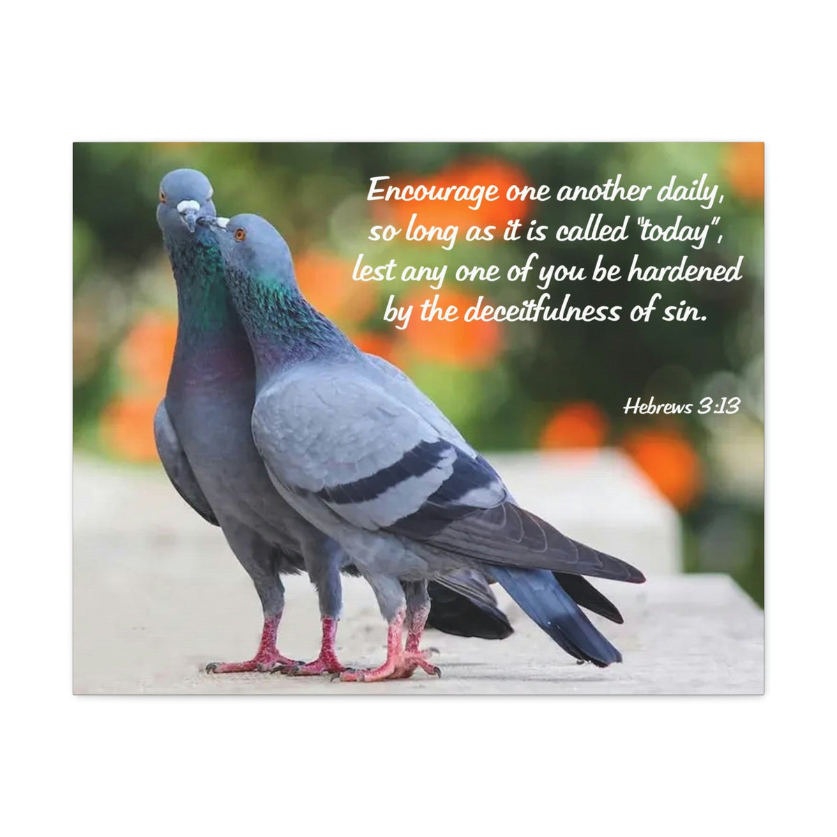 Scripture Walls Encourage Hebrews 3:13 Pigeons Christian Wall Art Bible Verse Print Ready to Hang Unframed-Express Your Love Gifts