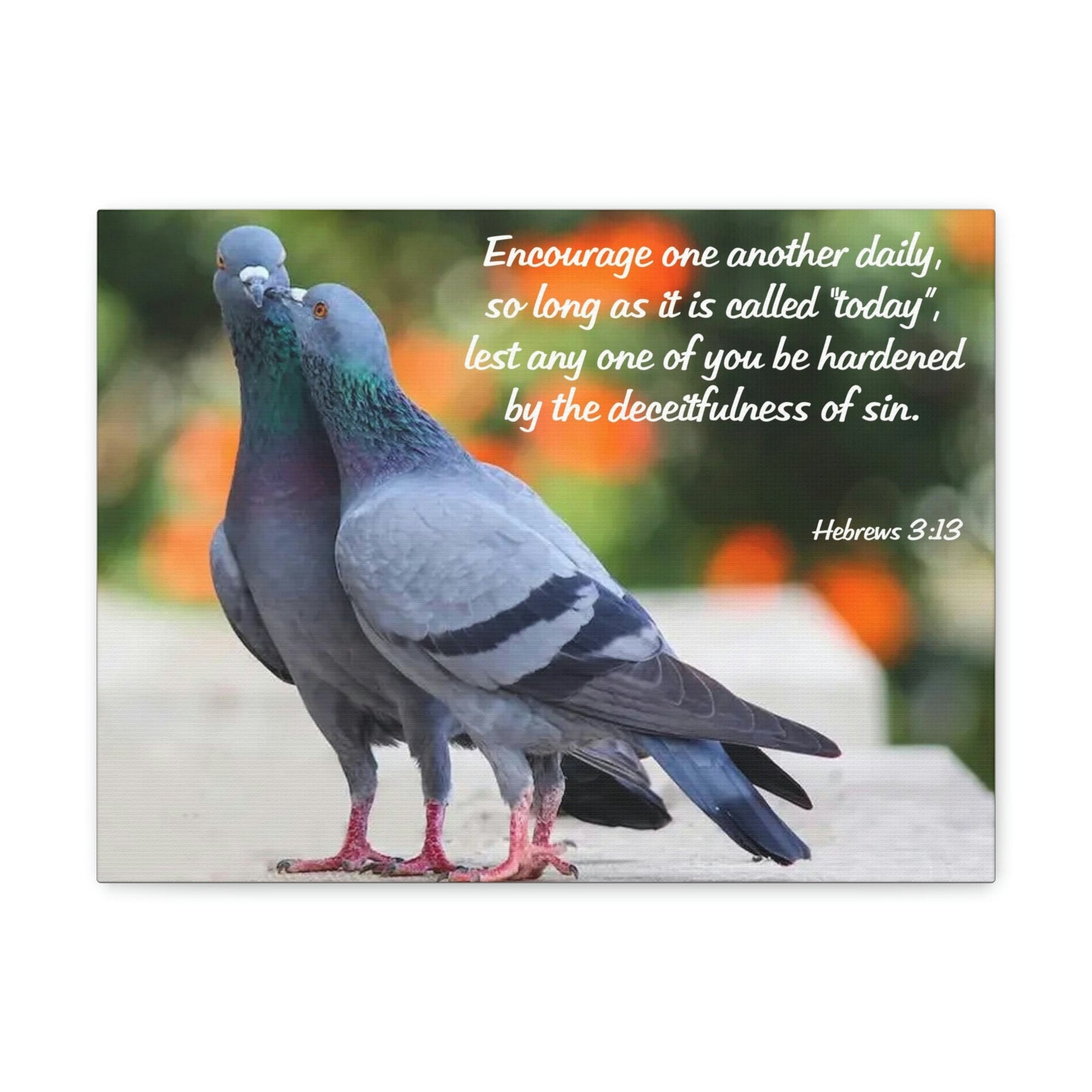 Scripture Walls Encourage Hebrews 3:13 Pigeons Christian Wall Art Bible Verse Print Ready to Hang Unframed-Express Your Love Gifts
