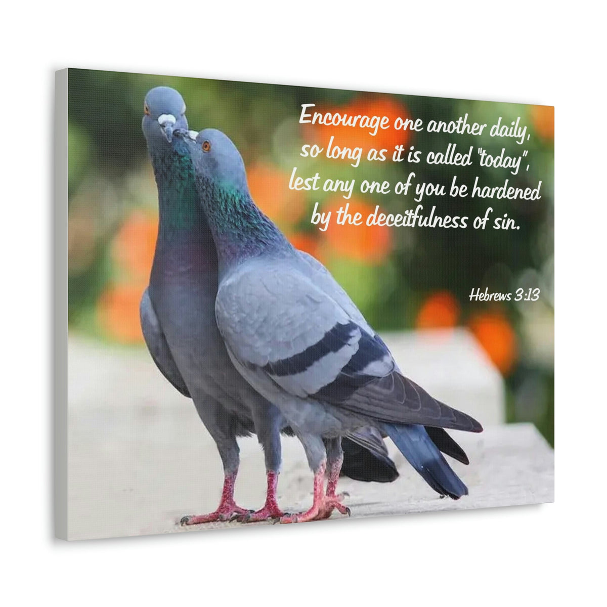 Scripture Walls Encourage Hebrews 3:13 Pigeons Christian Wall Art Bible Verse Print Ready to Hang Unframed-Express Your Love Gifts