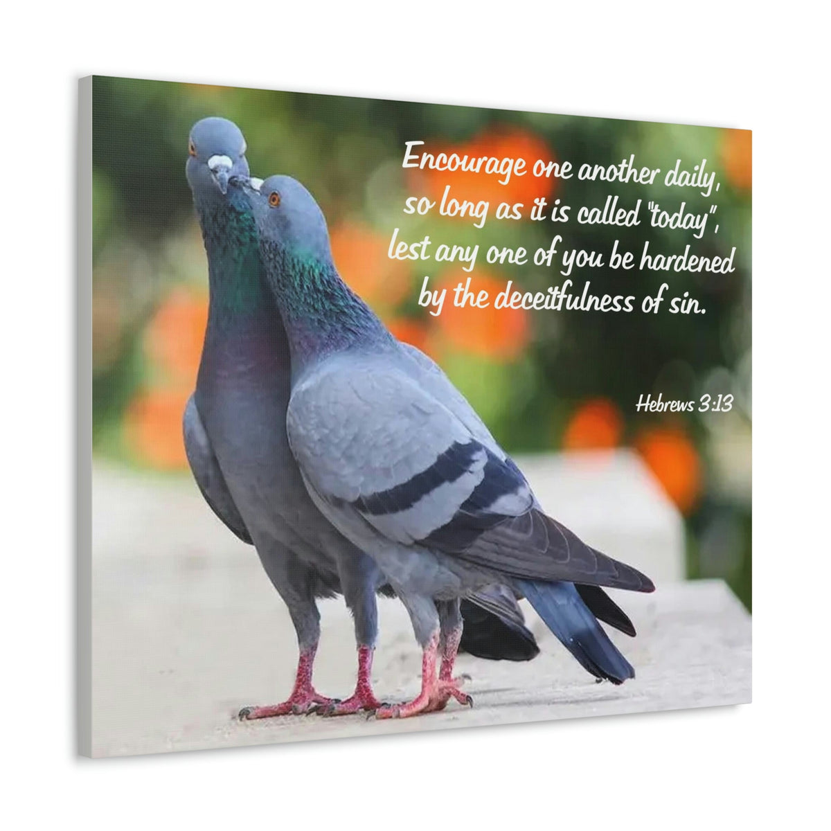 Scripture Walls Encourage Hebrews 3:13 Pigeons Christian Wall Art Bible Verse Print Ready to Hang Unframed-Express Your Love Gifts