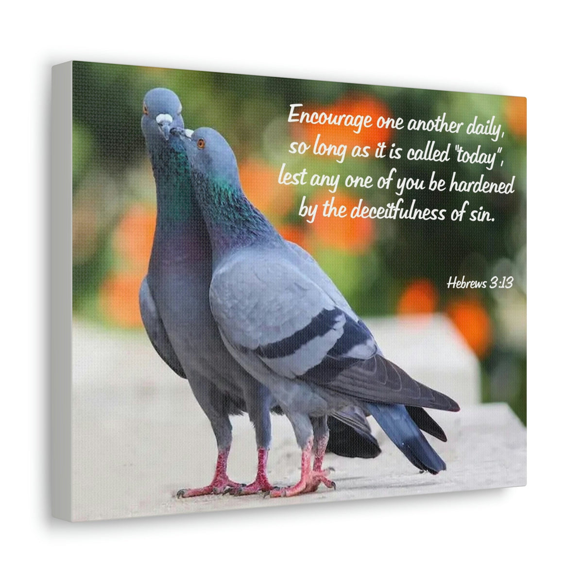 Scripture Walls Encourage Hebrews 3:13 Pigeons Christian Wall Art Bible Verse Print Ready to Hang Unframed-Express Your Love Gifts