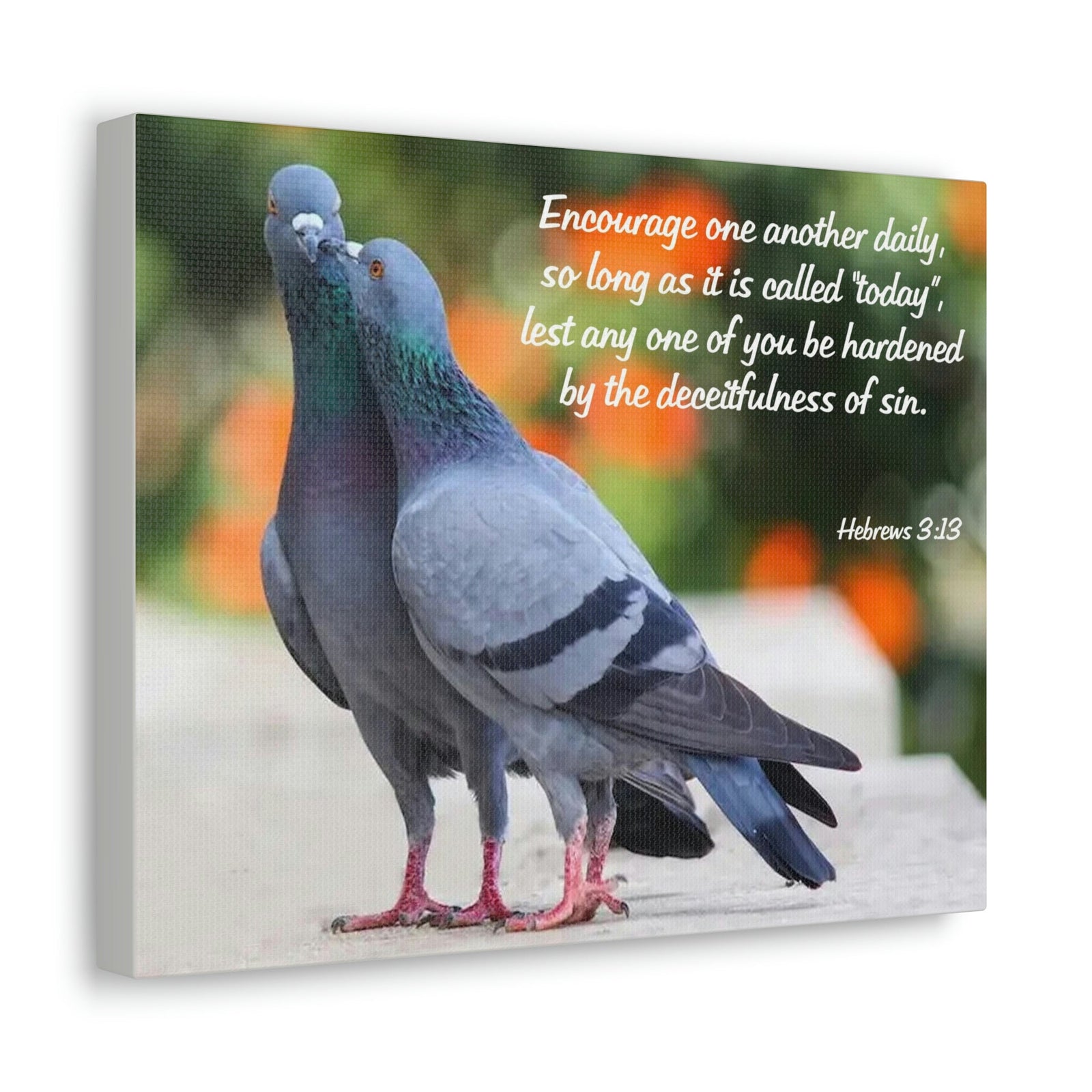 Scripture Walls Encourage Hebrews 3:13 Pigeons Christian Wall Art Bible Verse Print Ready to Hang Unframed-Express Your Love Gifts