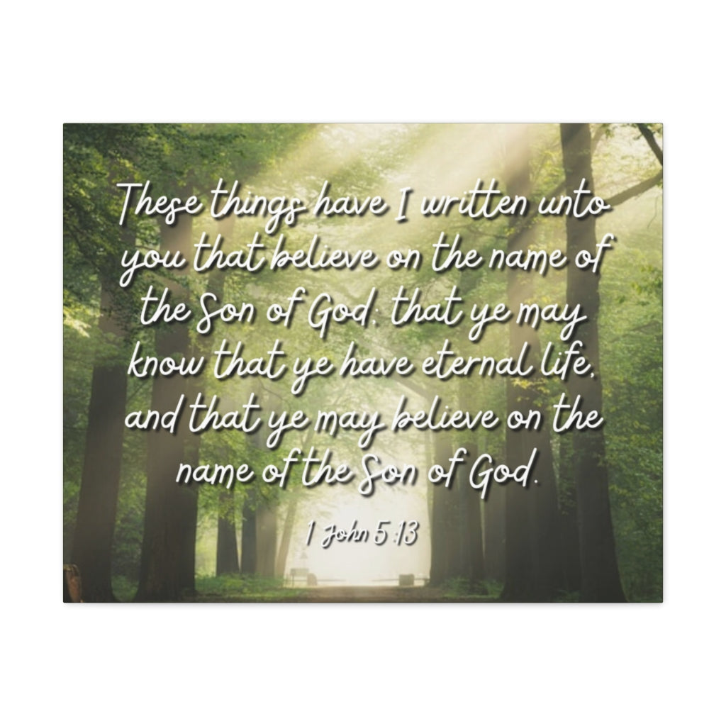 Scripture Walls Eternal Life 1 John 5:13 Bible Verse Canvas Christian Wall Art Ready to Hang Unframed-Express Your Love Gifts