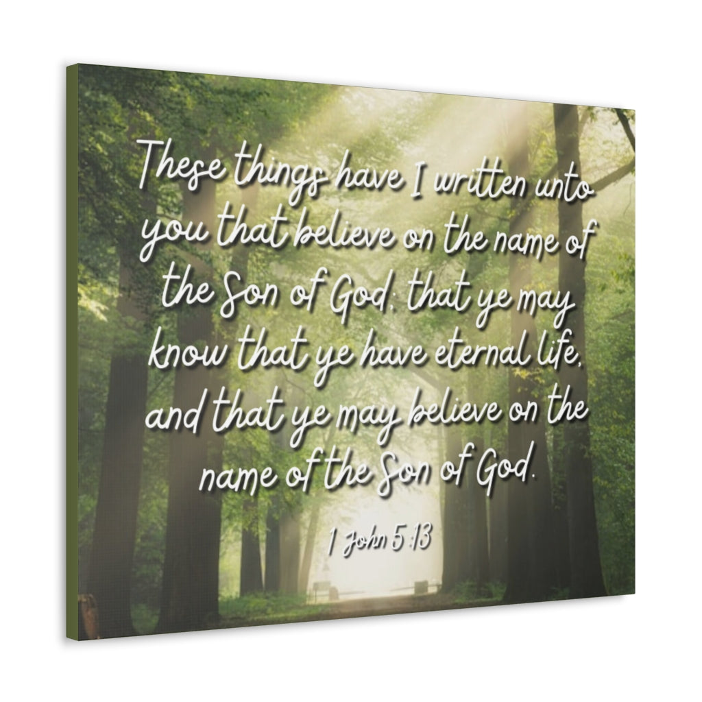 Scripture Walls Eternal Life 1 John 5:13 Bible Verse Canvas Christian Wall Art Ready to Hang Unframed-Express Your Love Gifts