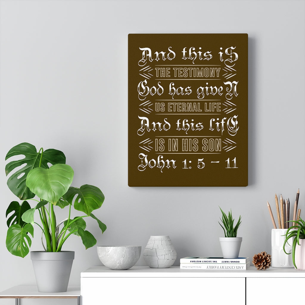 Scripture Walls Eternal Life John 1:5 - 11 Bible Verse Canvas Christian Wall Art Ready to Hang Unframed-Express Your Love Gifts