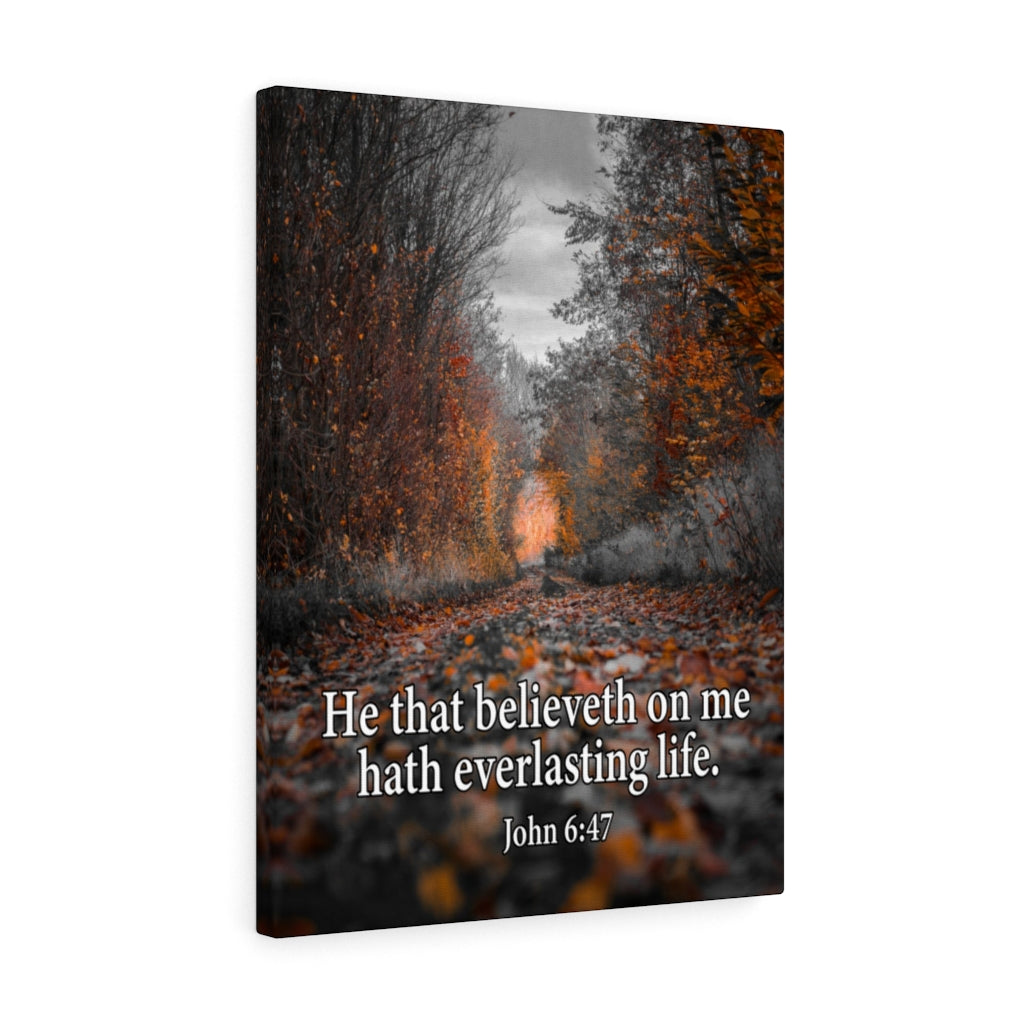 Scripture Walls Everlasting Life John 6:47 Bible Verse Canvas Christian Wall Art Ready to Hang Unframed-Express Your Love Gifts