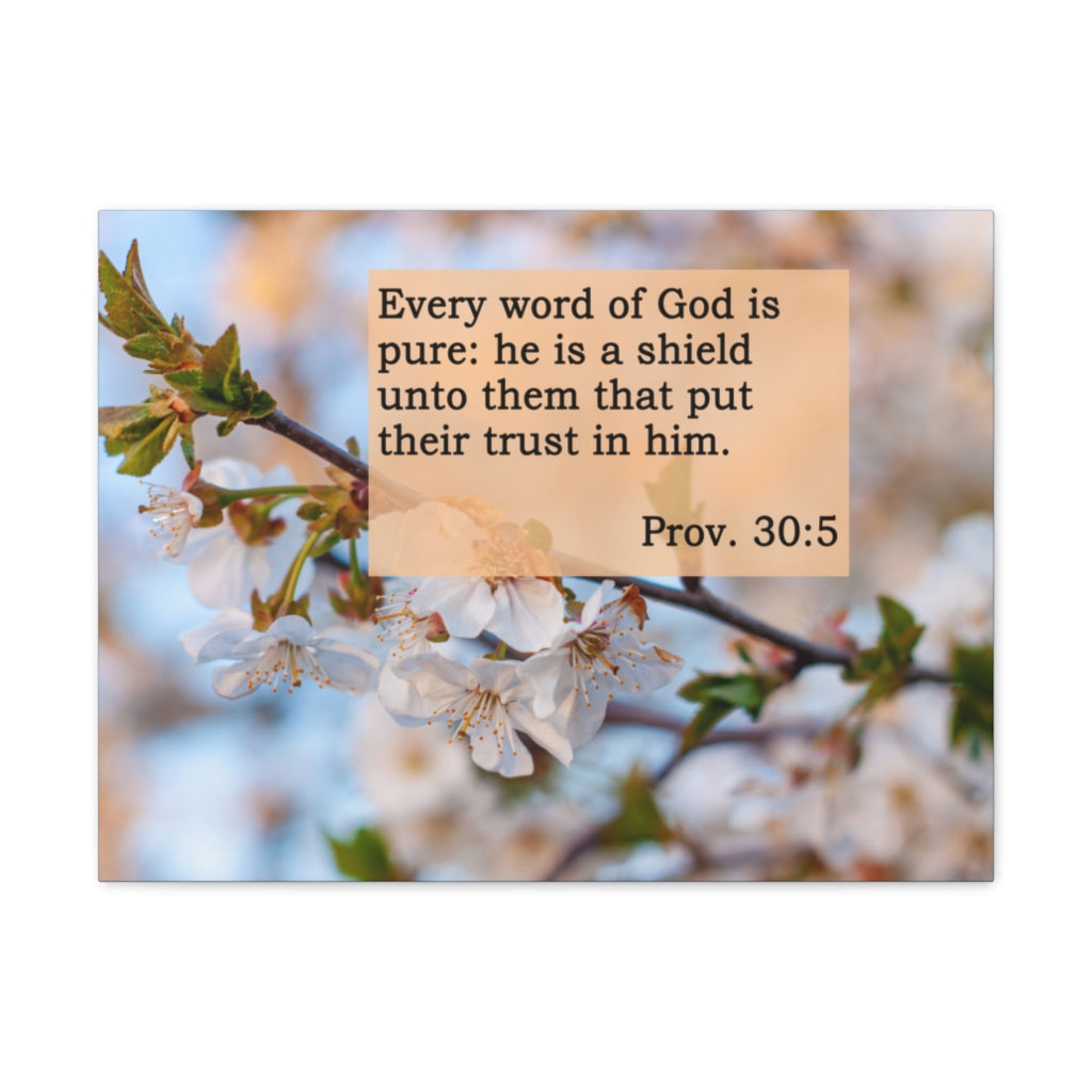 Scripture Walls Every Word Of God Proverbs 30:5 Bible Verse Canvas Christian Wall Art Ready to Hang Unframed-Express Your Love Gifts