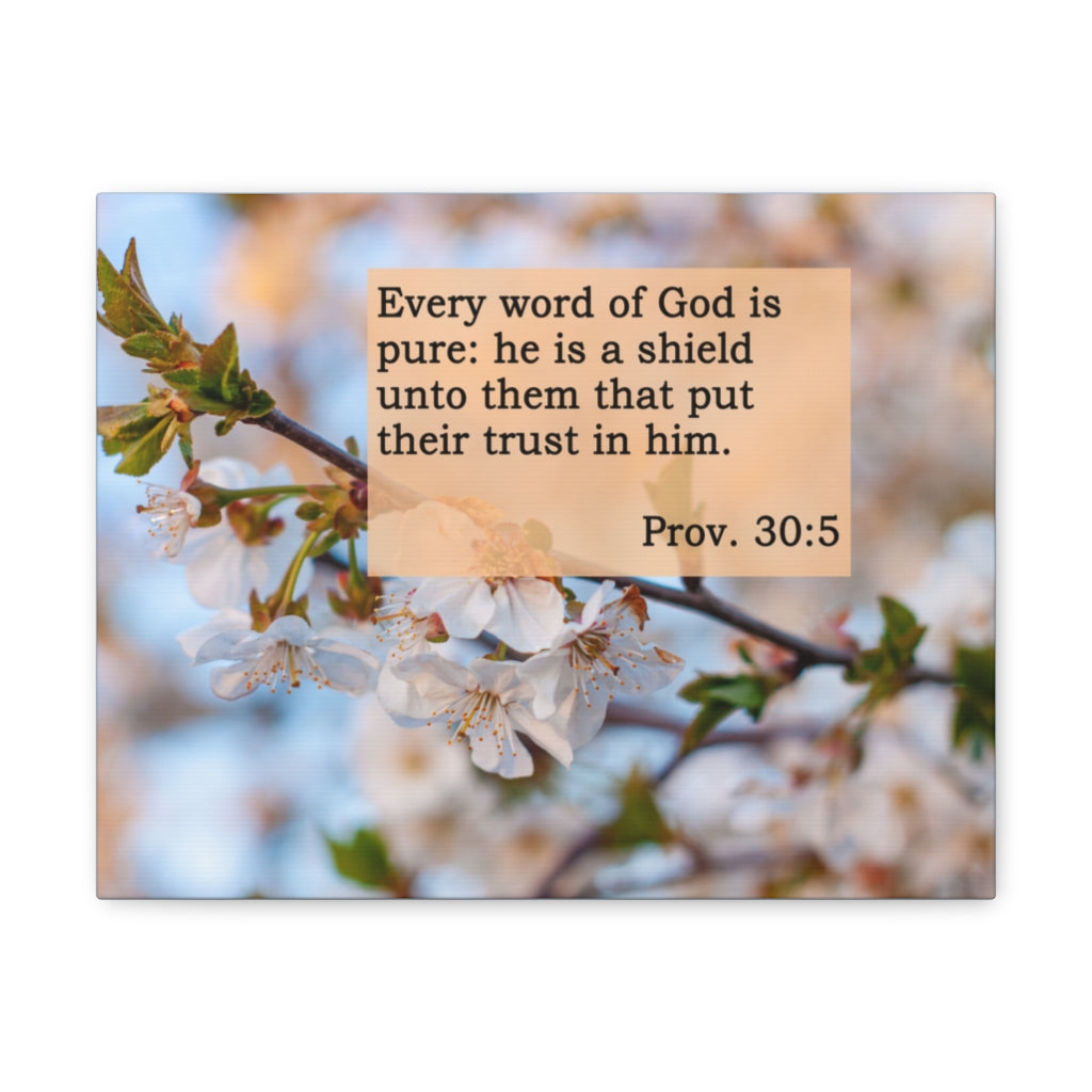 Scripture Walls Every Word Of God Proverbs 30:5 Bible Verse Canvas Christian Wall Art Ready to Hang Unframed-Express Your Love Gifts