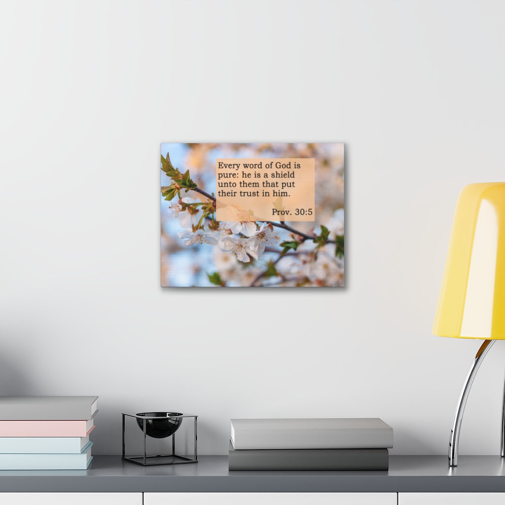 Scripture Walls Every Word Of God Proverbs 30:5 Bible Verse Canvas Christian Wall Art Ready to Hang Unframed-Express Your Love Gifts