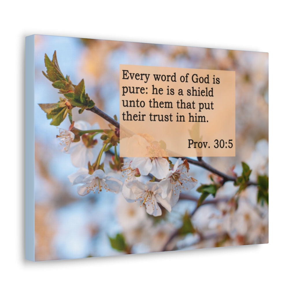 Scripture Walls Every Word Of God Proverbs 30:5 Bible Verse Canvas Christian Wall Art Ready to Hang Unframed-Express Your Love Gifts