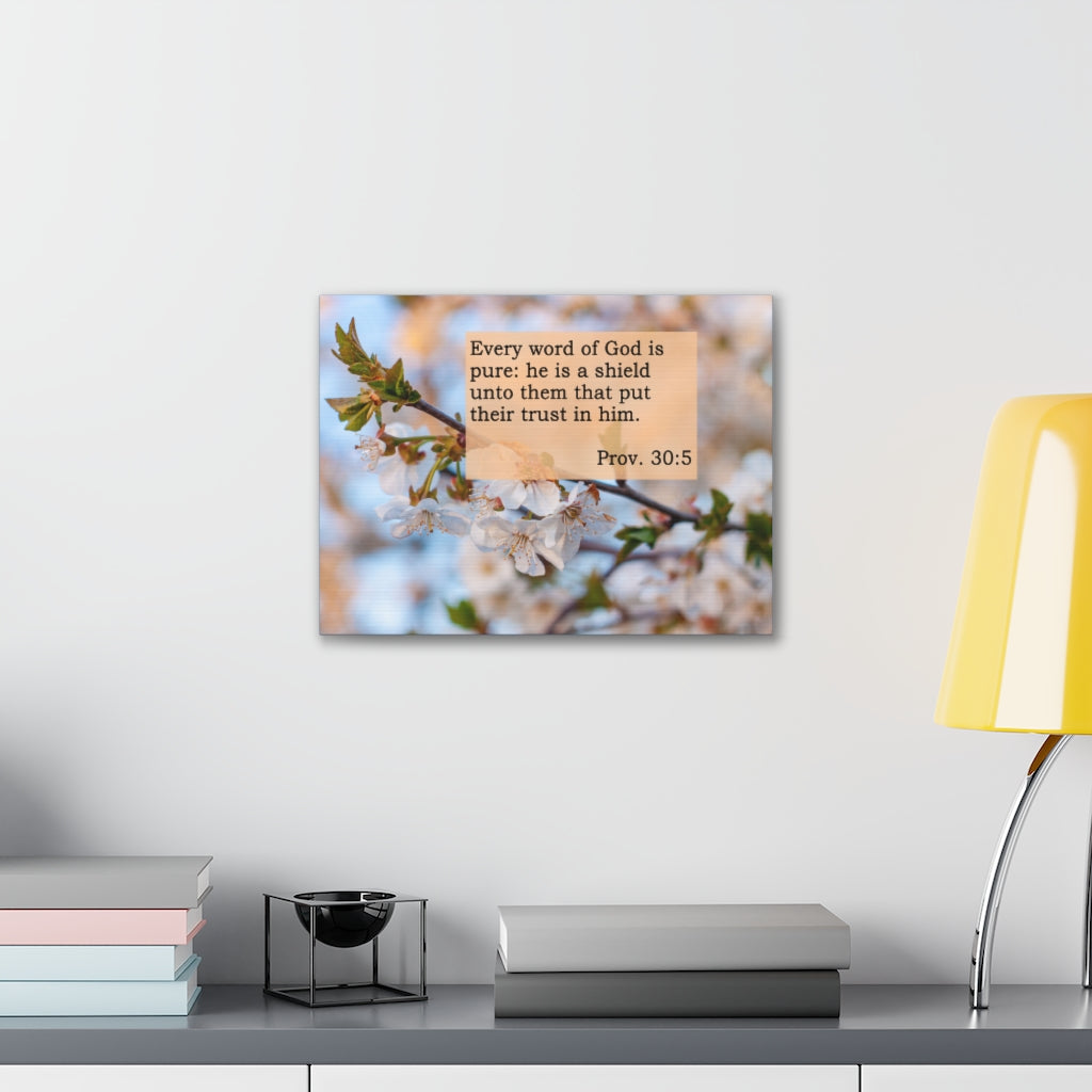 Scripture Walls Every Word Of God Proverbs 30:5 Bible Verse Canvas Christian Wall Art Ready to Hang Unframed-Express Your Love Gifts
