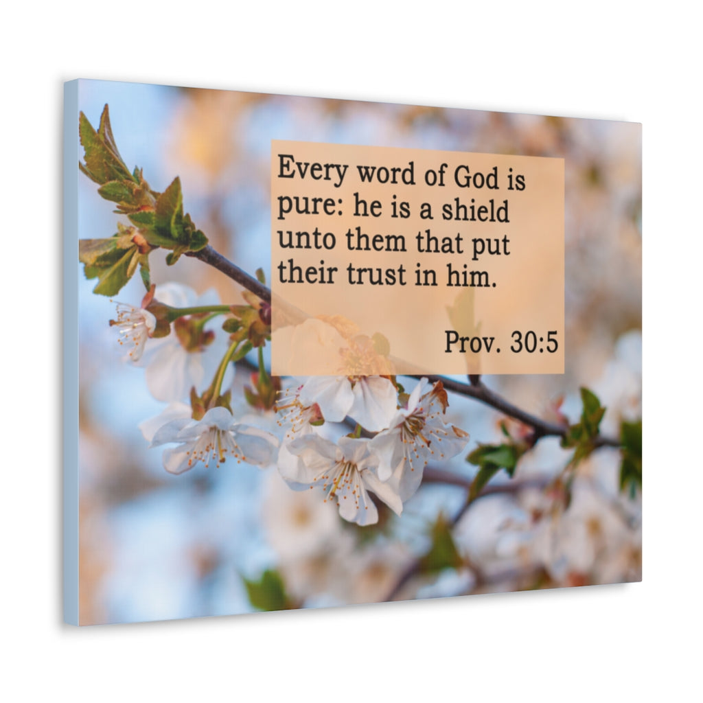 Scripture Walls Every Word Of God Proverbs 30:5 Bible Verse Canvas Christian Wall Art Ready to Hang Unframed-Express Your Love Gifts