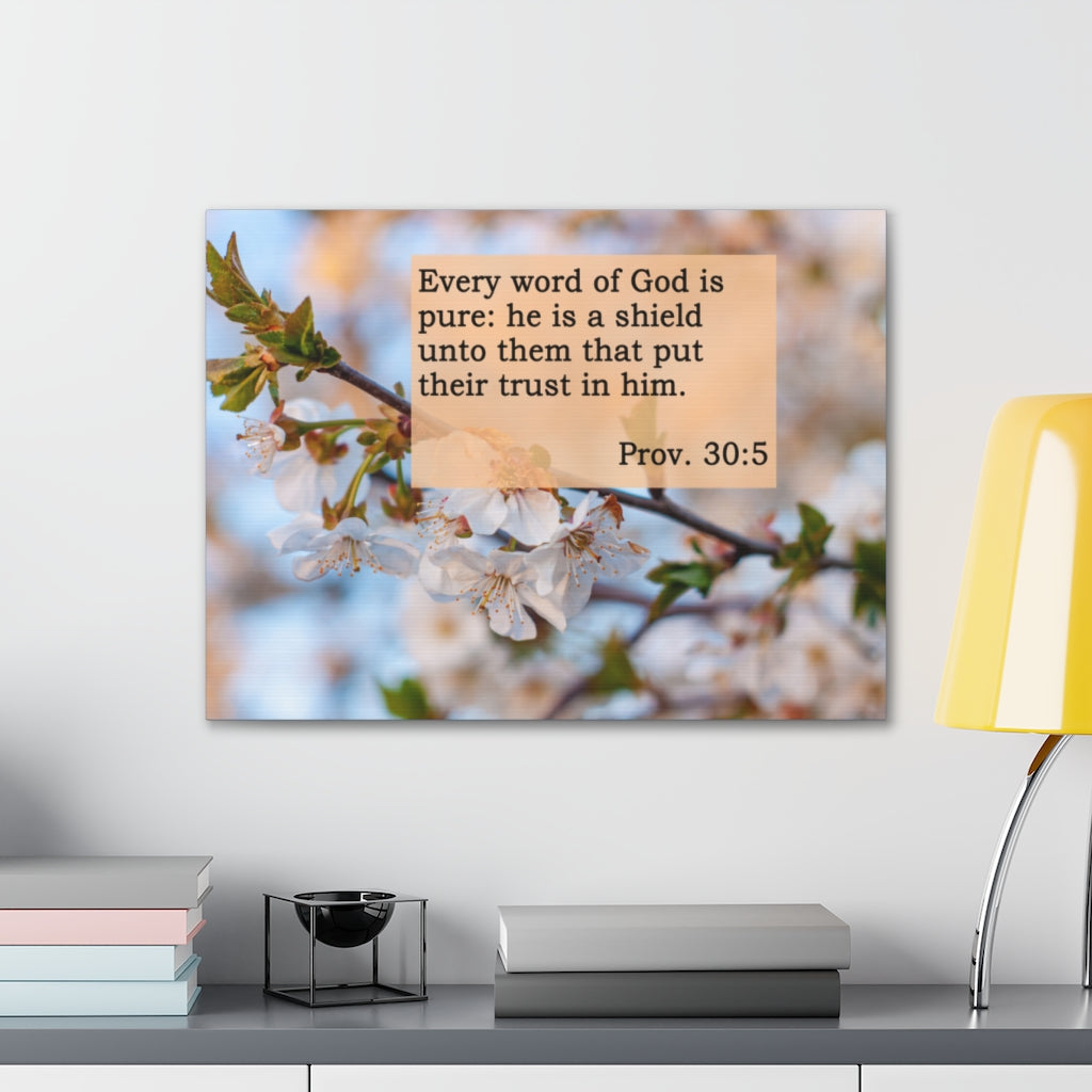 Scripture Walls Every Word Of God Proverbs 30:5 Bible Verse Canvas Christian Wall Art Ready to Hang Unframed-Express Your Love Gifts