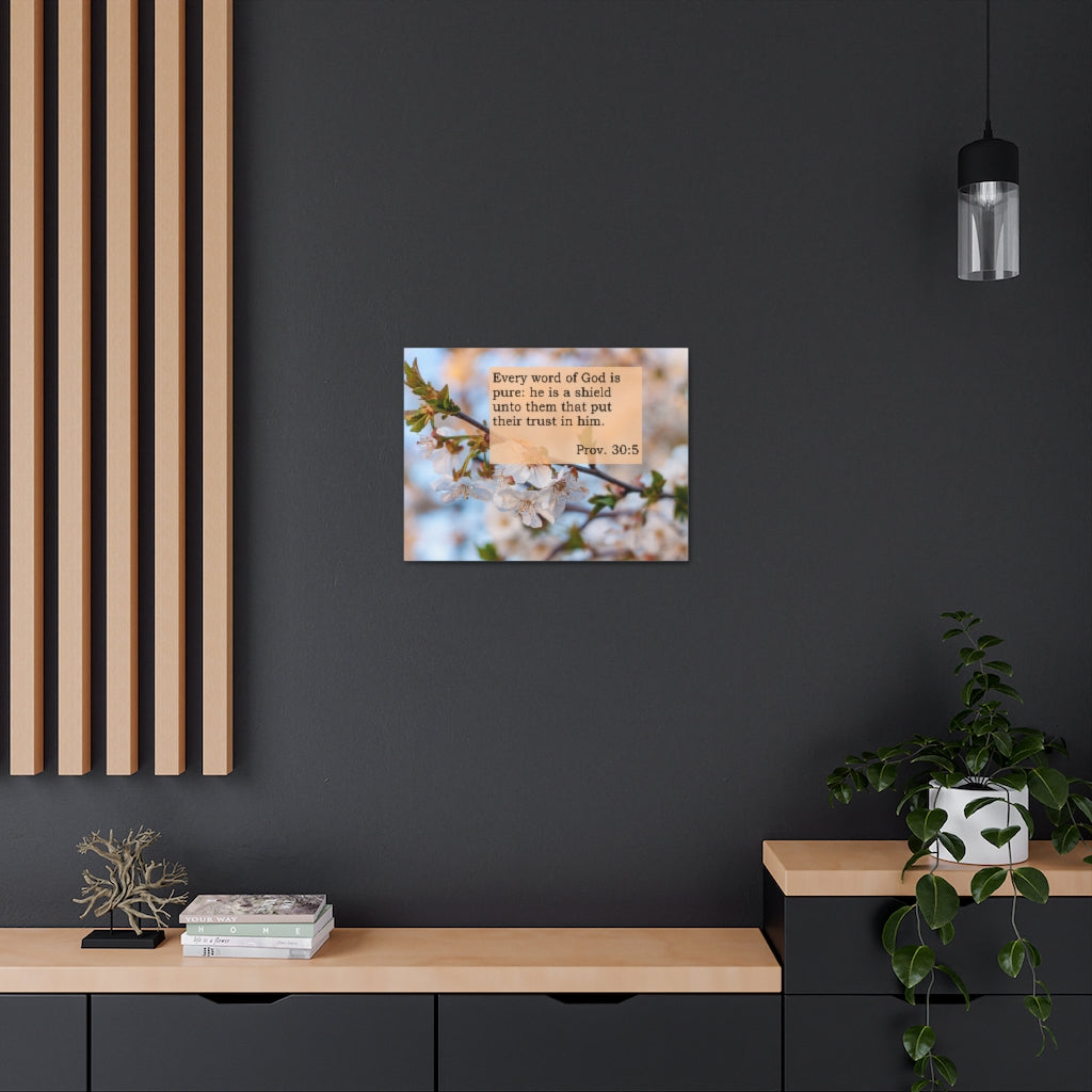 Scripture Walls Every Word Of God Proverbs 30:5 Bible Verse Canvas Christian Wall Art Ready to Hang Unframed-Express Your Love Gifts