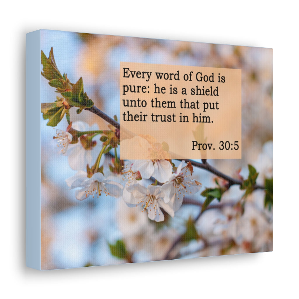 Scripture Walls Every Word Of God Proverbs 30:5 Bible Verse Canvas Christian Wall Art Ready to Hang Unframed-Express Your Love Gifts