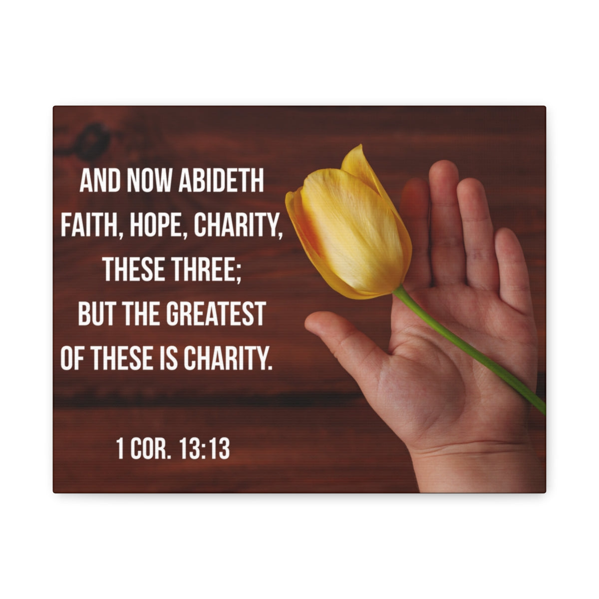 Scripture Walls Faith Hope Charity 1 Corinthians 13:13 Flower Bible Verse Canvas Christian Wall Art Bible Verse Print Ready To Hang Unframed-Express Your Love Gifts