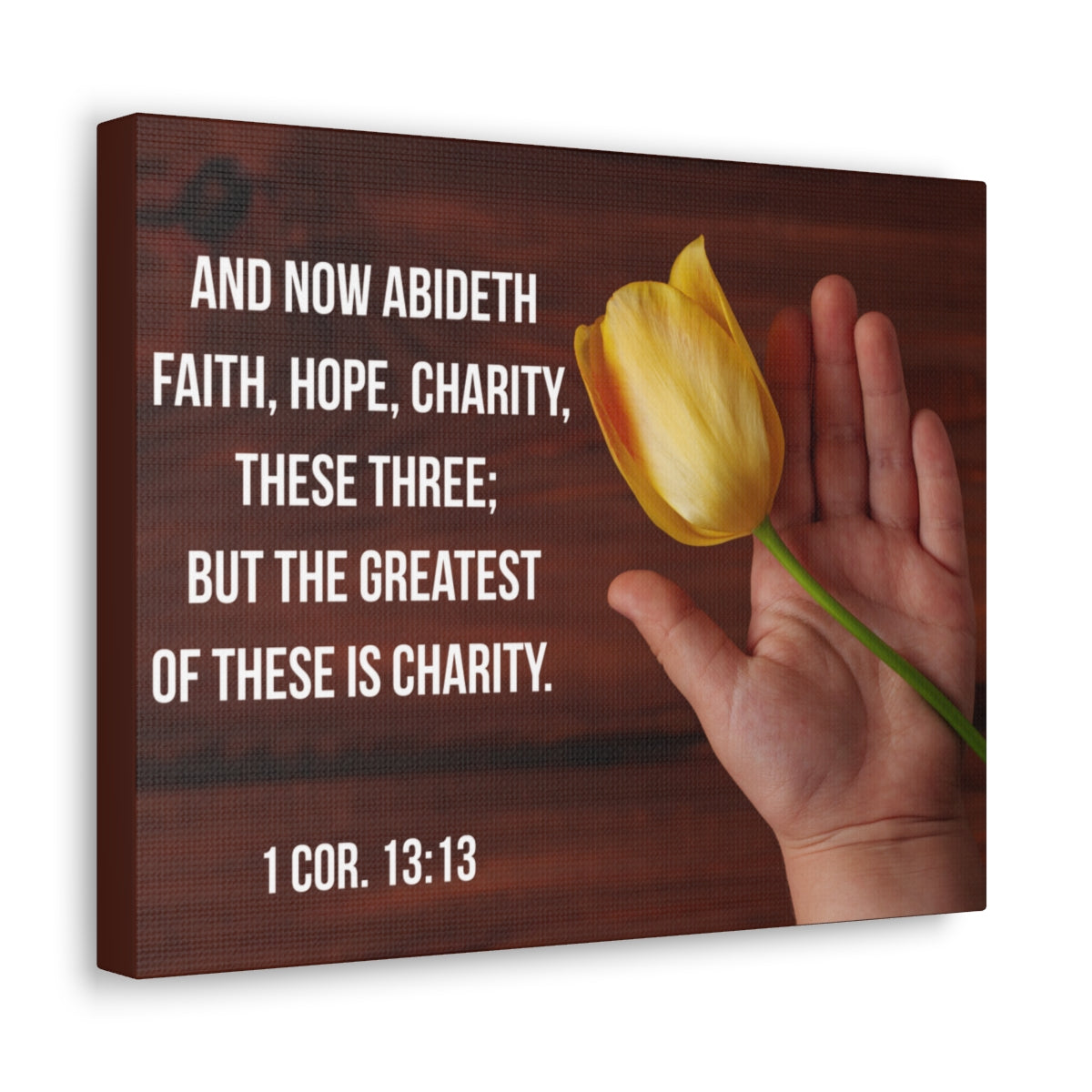 Scripture Walls Faith Hope Charity 1 Corinthians 13:13 Flower Bible Verse Canvas Christian Wall Art Bible Verse Print Ready To Hang Unframed-Express Your Love Gifts