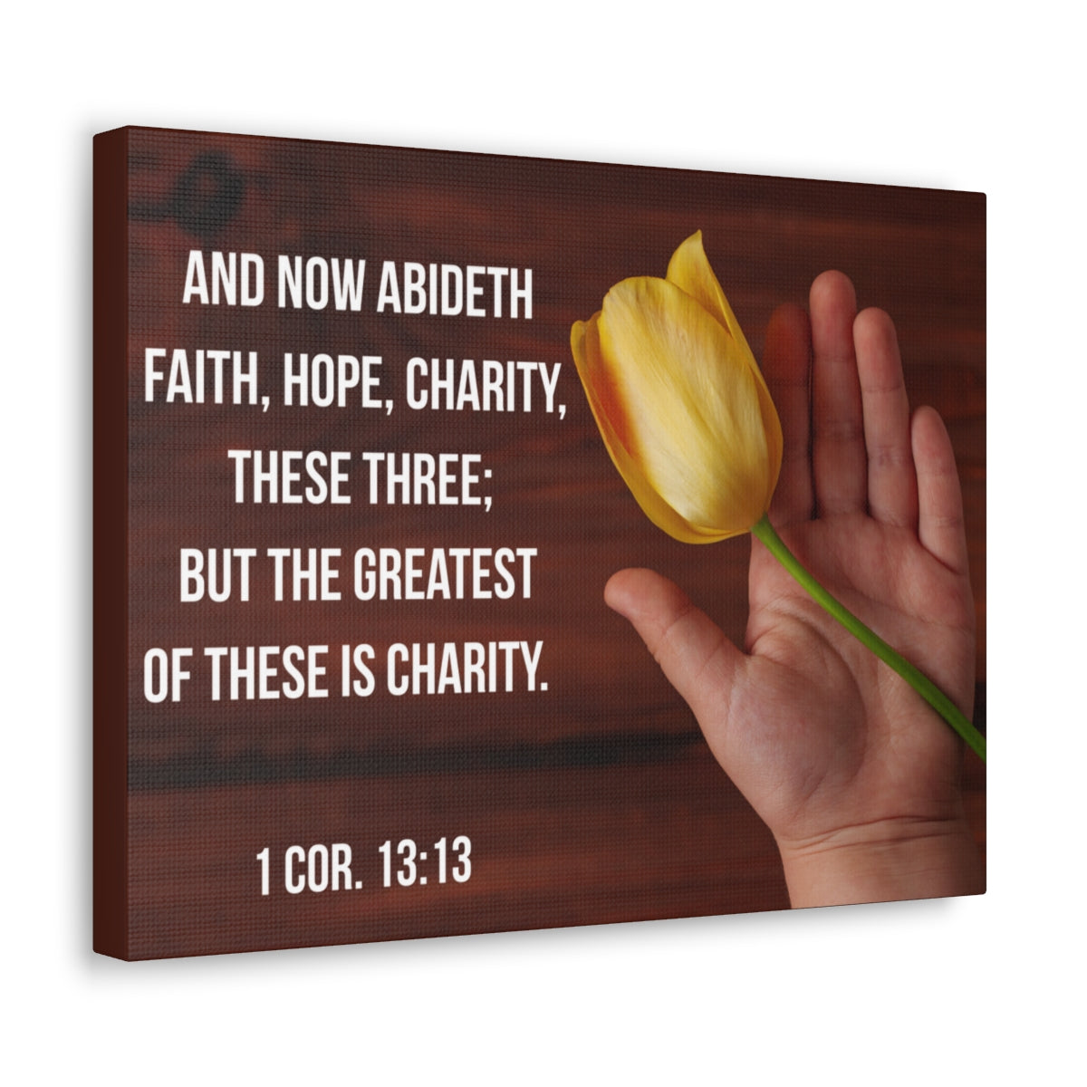 Scripture Walls Faith Hope Charity 1 Corinthians 13:13 Flower Bible Verse Canvas Christian Wall Art Bible Verse Print Ready To Hang Unframed-Express Your Love Gifts
