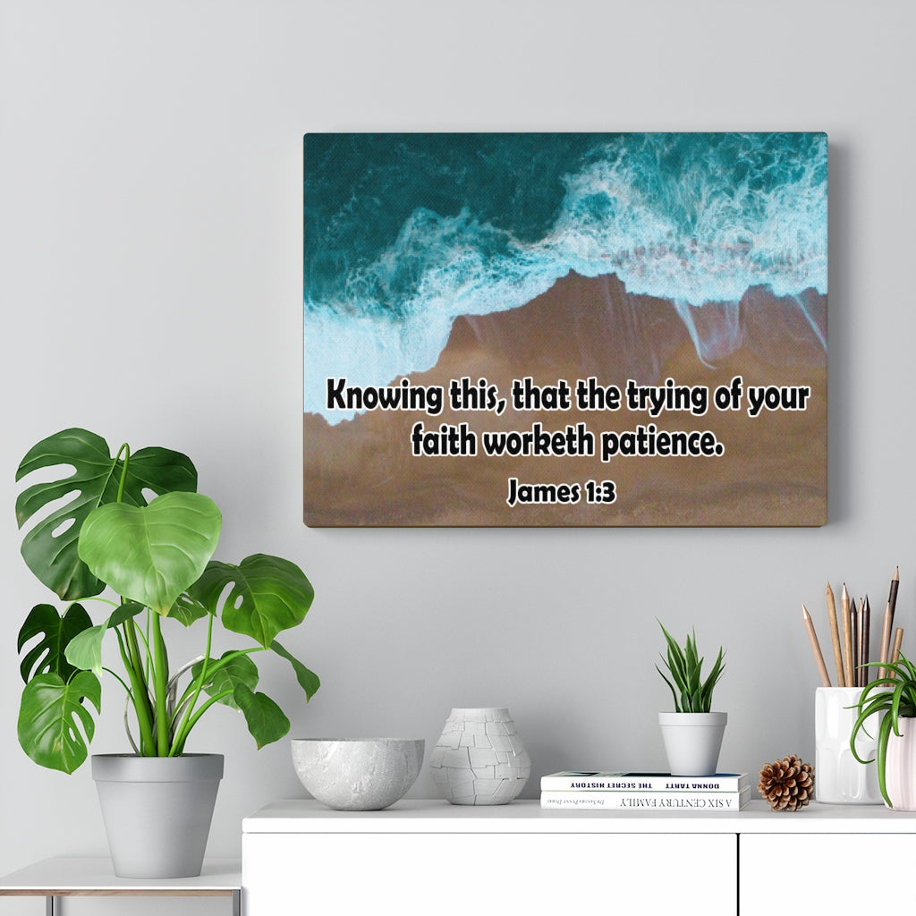 Scripture Walls Faith Worketh Patience James 1:3 Bible Verse Canvas Christian Wall Art Ready to Hang Unframed-Express Your Love Gifts
