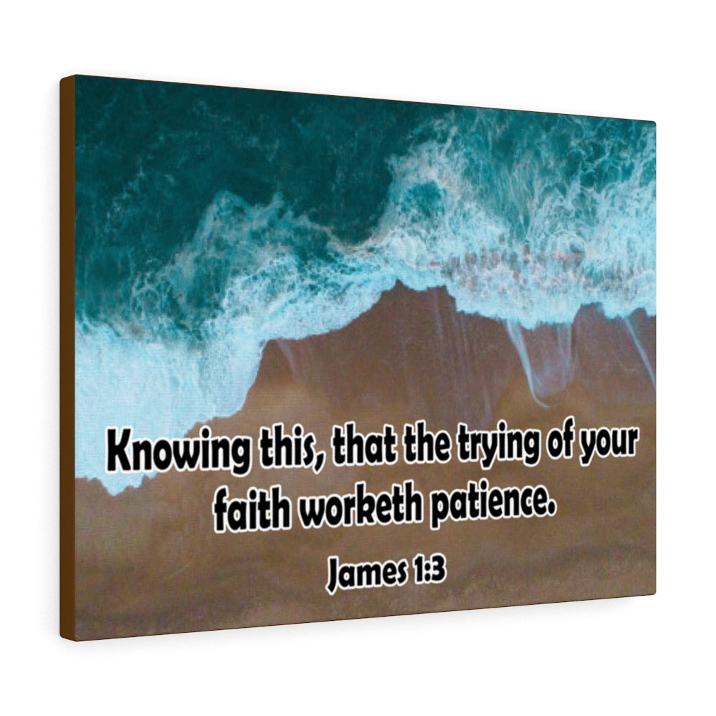 Scripture Walls Faith Worketh Patience James 1:3 Bible Verse Canvas Christian Wall Art Ready to Hang Unframed-Express Your Love Gifts