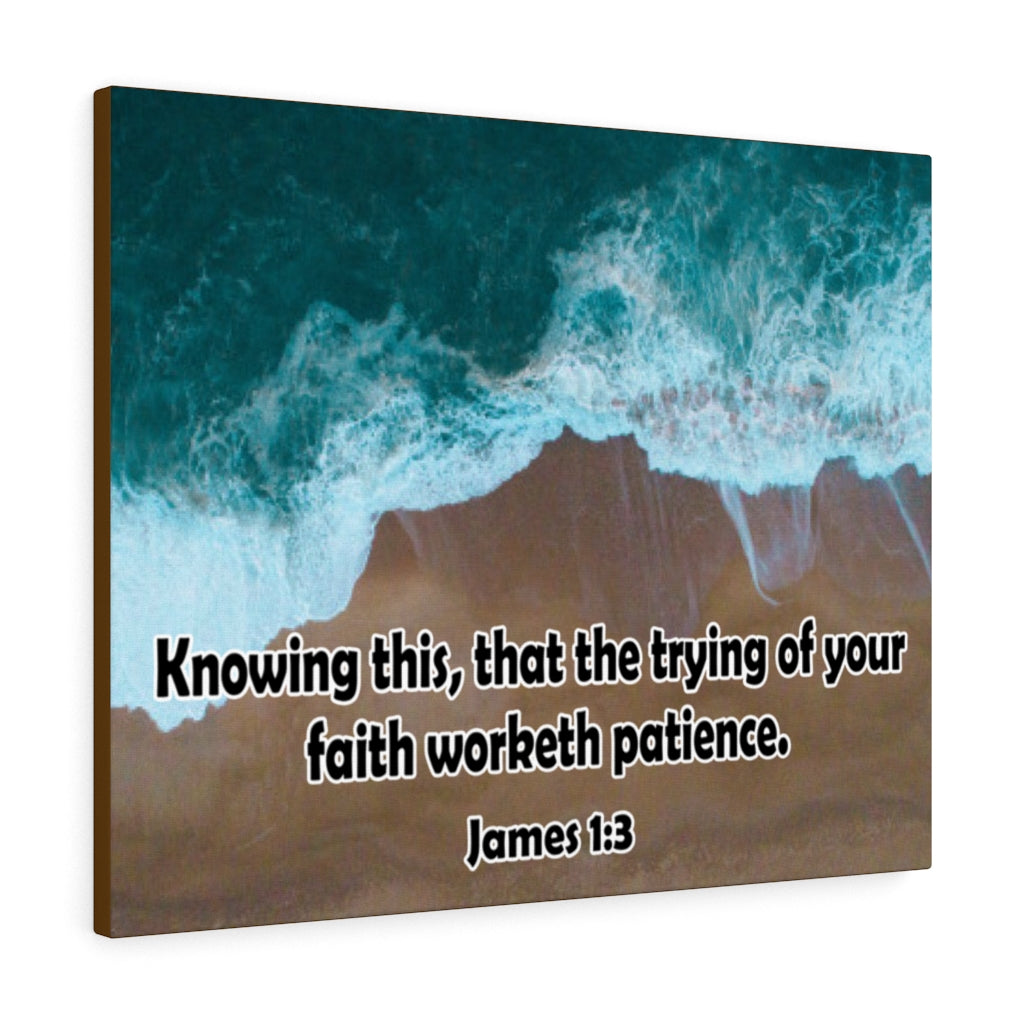 Scripture Walls Faith Worketh Patience James 1:3 Bible Verse Canvas Christian Wall Art Ready to Hang Unframed-Express Your Love Gifts