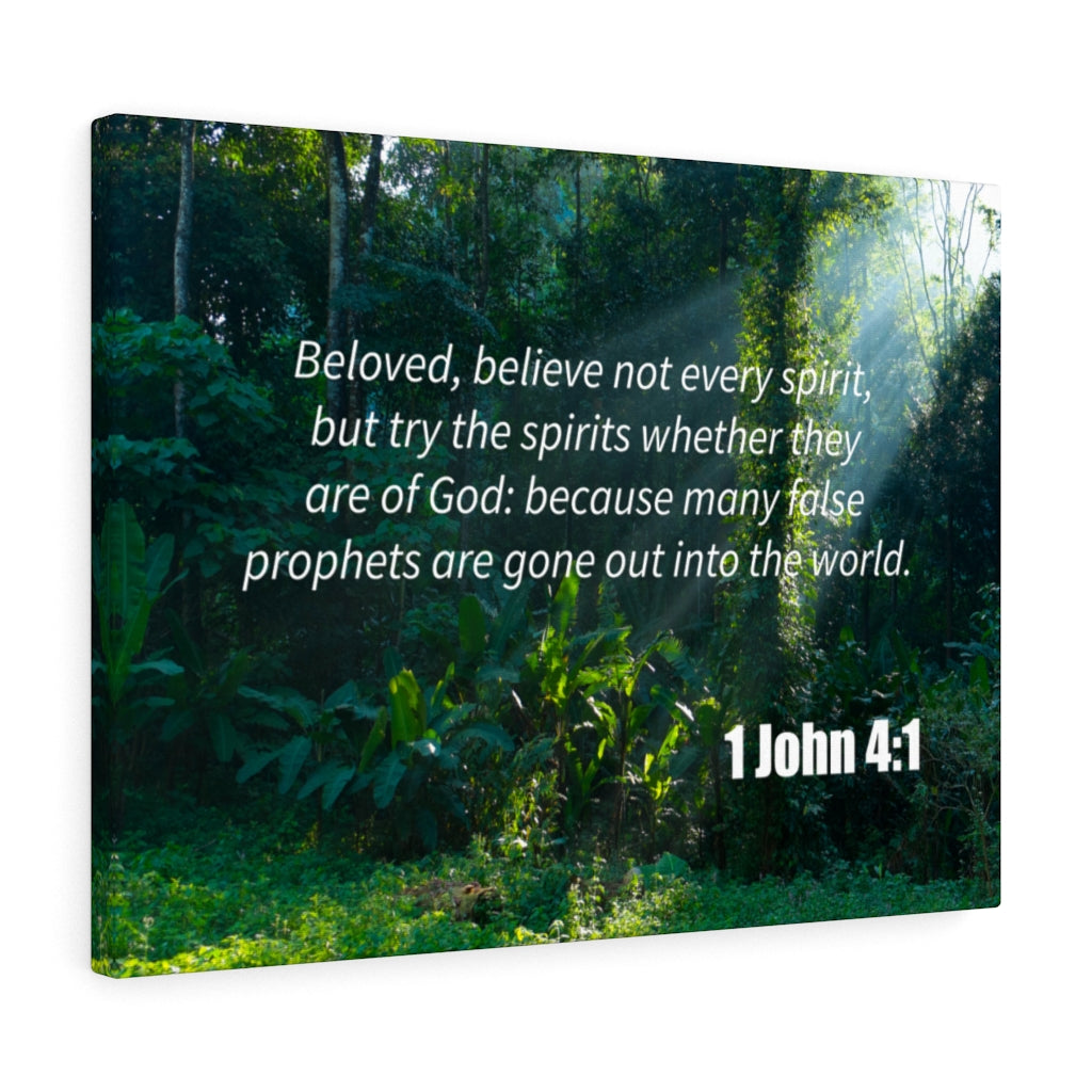 Scripture Walls False Prophets 1 John 4:1 Bible Verse Canvas Christian Wall Art Ready to Hang Unframed-Express Your Love Gifts