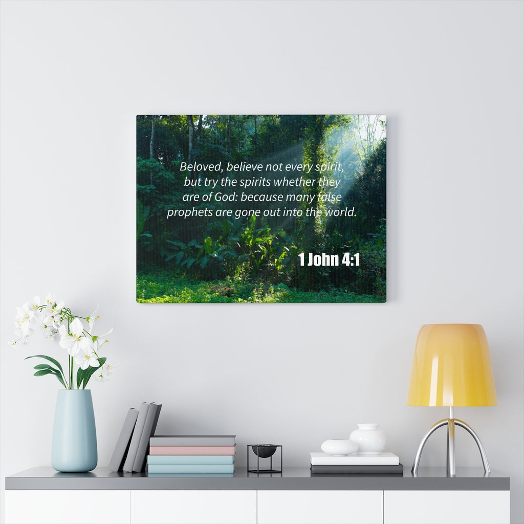 Scripture Walls False Prophets 1 John 4:1 Bible Verse Canvas Christian Wall Art Ready to Hang Unframed-Express Your Love Gifts