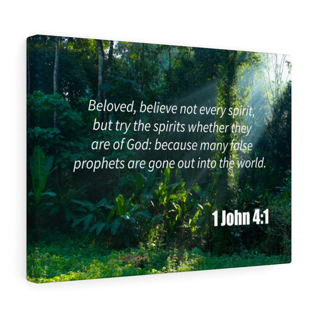 Scripture Walls False Prophets 1 John 4:1 Bible Verse Canvas Christian Wall Art Ready to Hang Unframed-Express Your Love Gifts