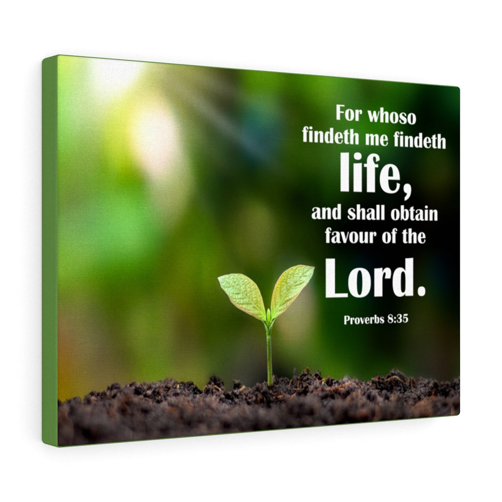 Scripture Walls Favour of The Lord Proverbs 8:35 Bible Verse Canvas Christian Wall Art Ready to Hang Unframed-Express Your Love Gifts