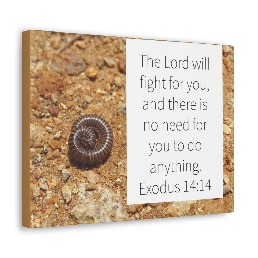 Scripture Walls Fight For You Exodus 14:14 Bible Verse Canvas Christian Wall Art Ready to Hang Unframed-Express Your Love Gifts