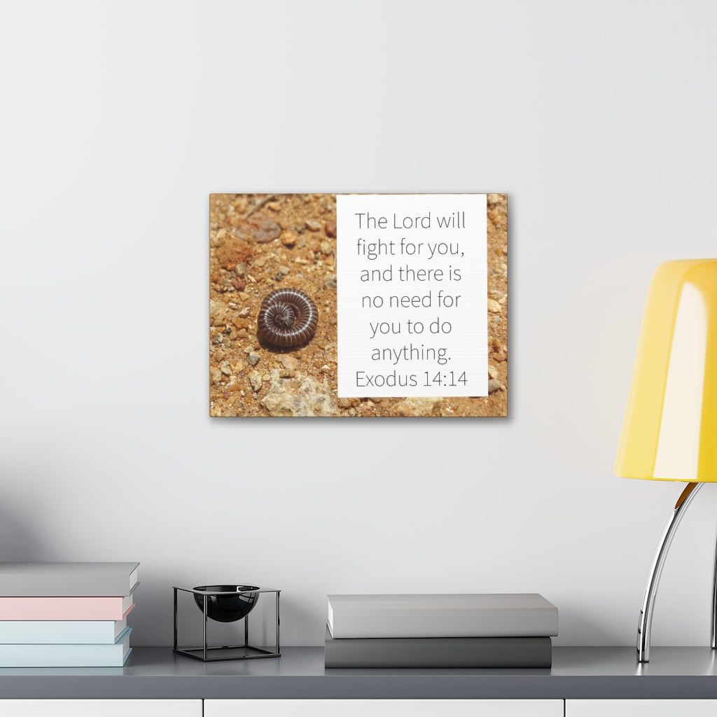 Scripture Walls Fight For You Exodus 14:14 Bible Verse Canvas Christian Wall Art Ready to Hang Unframed-Express Your Love Gifts