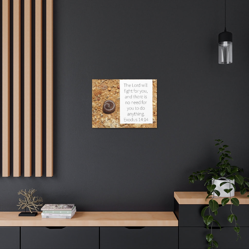 Scripture Walls Fight For You Exodus 14:14 Bible Verse Canvas Christian Wall Art Ready to Hang Unframed-Express Your Love Gifts