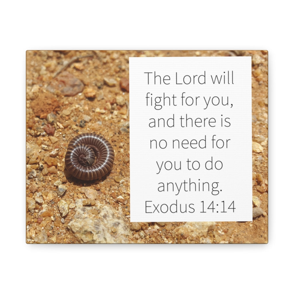 Scripture Walls Fight For You Exodus 14:14 Bible Verse Canvas Christian Wall Art Ready to Hang Unframed-Express Your Love Gifts