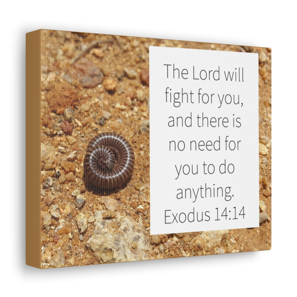 Scripture Walls Fight For You Exodus 14:14 Bible Verse Canvas Christian Wall Art Ready to Hang Unframed-Express Your Love Gifts