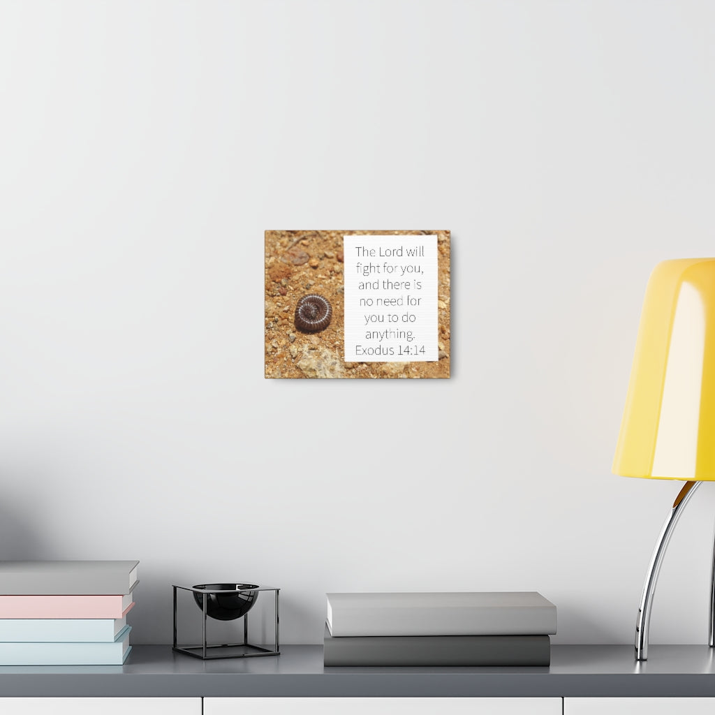 Scripture Walls Fight For You Exodus 14:14 Bible Verse Canvas Christian Wall Art Ready to Hang Unframed-Express Your Love Gifts