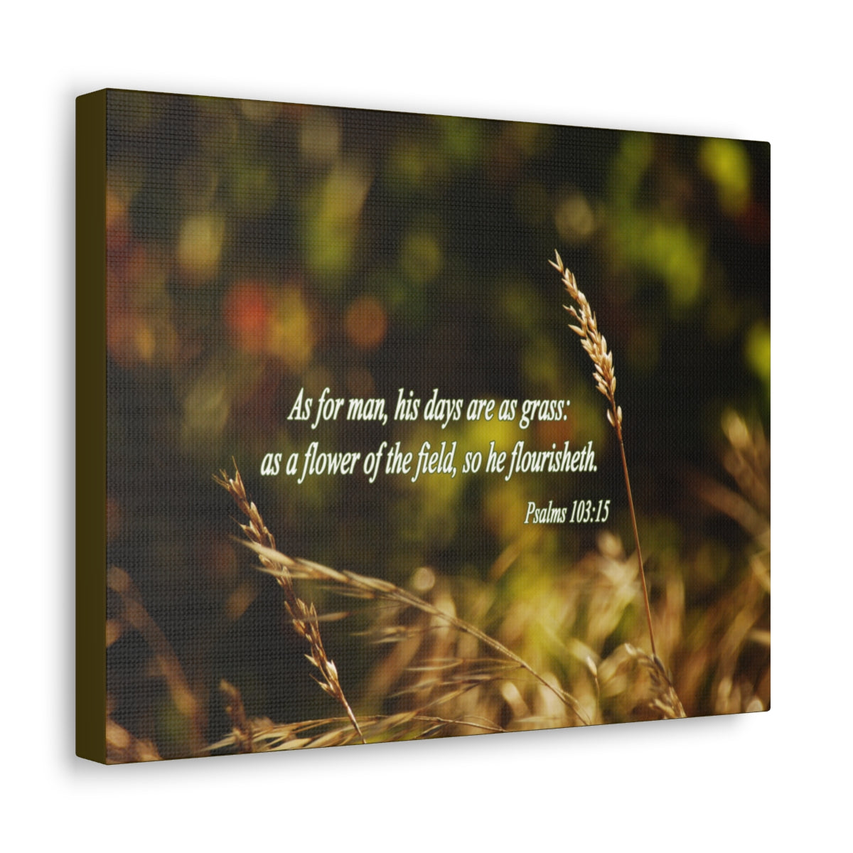 Scripture Walls Flower Of The Field Psalms 103:15 Bible Verse Canvas Christian Wall Art Bible Verse Print Ready To Hang Unframed-Express Your Love Gifts
